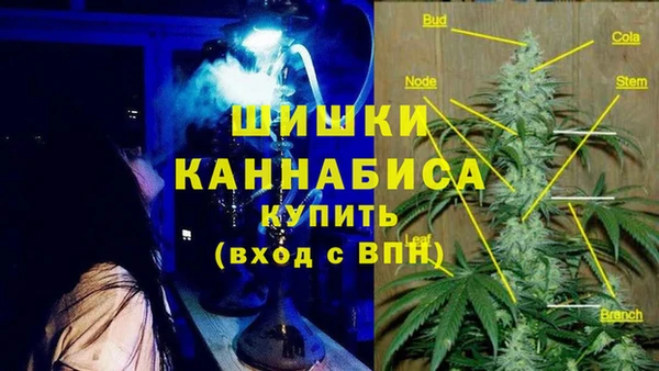 спайс Кулебаки