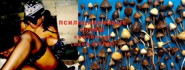 спайс Кулебаки
