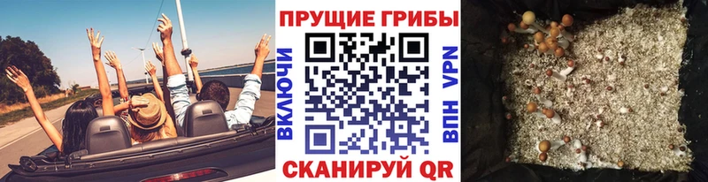 Галлюциногенные грибы прущие грибы Купить где Валуйки